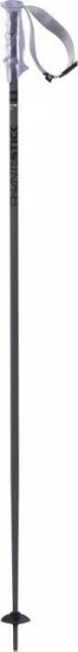 Völkl PHANTASTICK 2 GREY POLES